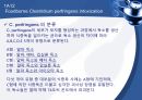 (발표 PPT) 식중독(food poisoning) 23페이지