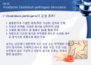 (발표 PPT) 식중독(food poisoning) 24페이지
