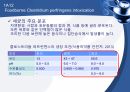 (발표 PPT) 식중독(food poisoning) 25페이지