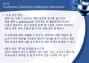 (발표 PPT) 식중독(food poisoning) 26페이지