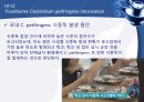 (발표 PPT) 식중독(food poisoning) 28페이지