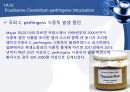 (발표 PPT) 식중독(food poisoning) 31페이지