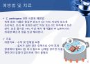 (발표 PPT) 식중독(food poisoning) 32페이지