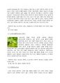 2010 주류학 와인에 대한 조사 9페이지