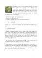 2010 주류학 와인에 대한 조사 10페이지