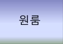 [PPT] 원룸의 증가요인 A+자료입니다 1페이지