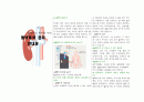 만성신부전 식이 교육안/ 혈액투석 관리 안내문/ 혈액투석 환자 식이관리 안내문 5페이지