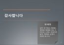 탁구 포핸드 드라이브의 역학적 분석 18페이지