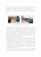 노인 대상 치매예방 재활놀이의 정의 4페이지