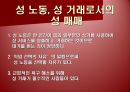 [광고론] 광고 속 성 상품화 사례 및 찬반론에 대한 분석 12페이지