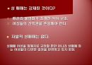 [광고론] 광고 속 성 상품화 사례 및 찬반론에 대한 분석 20페이지