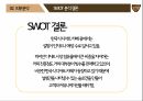 [마케팅 전략] 설빙의 슬로건 마케팅 전략에 대한 분석 50페이지
