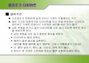 [다이어트와 건강] 다이어트 종류와 부작용에 대한 분석 30페이지