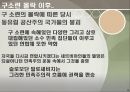 발칸의 도살자 밀로셰비치와 민족주의에 대한 분석 8페이지