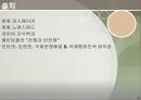 발칸의 도살자 밀로셰비치와 민족주의에 대한 분석 16페이지