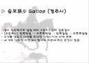 승마의 자세와 밸런스, 보법 17페이지