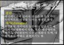 애니메이션의 종류와 유형에 대한 분석 13페이지