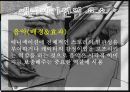 애니메이션의 종류와 유형에 대한 분석 14페이지