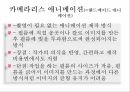 애니메이션의 종류와 유형에 대한 분석 21페이지