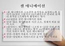 애니메이션의 종류와 유형에 대한 분석 22페이지