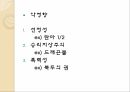 일본 애니메이션의 발전 배경 및 시대별 변천사 19페이지