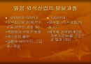 한국과 일본의 외식문화에 대한 비교 분석 11페이지