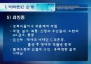 [식품안전] 월빙의 탈을 쓴 식품안전의 실체에 대한 분석 12페이지