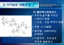 [식품안전] 월빙의 탈을 쓴 식품안전의 실체에 대한 분석 30페이지