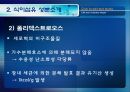 [식품안전] 월빙의 탈을 쓴 식품안전의 실체에 대한 분석 31페이지