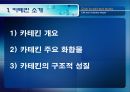 [식품안전] 월빙의 탈을 쓴 식품안전의 실체에 대한 분석 49페이지