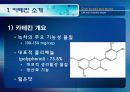 [식품안전] 월빙의 탈을 쓴 식품안전의 실체에 대한 분석 50페이지