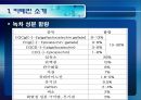 [식품안전] 월빙의 탈을 쓴 식품안전의 실체에 대한 분석 51페이지