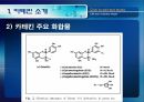 [식품안전] 월빙의 탈을 쓴 식품안전의 실체에 대한 분석 52페이지