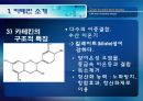 [식품안전] 월빙의 탈을 쓴 식품안전의 실체에 대한 분석 53페이지