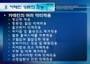 [식품안전] 월빙의 탈을 쓴 식품안전의 실체에 대한 분석 55페이지