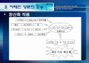 [식품안전] 월빙의 탈을 쓴 식품안전의 실체에 대한 분석 56페이지