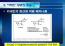 [식품안전] 월빙의 탈을 쓴 식품안전의 실체에 대한 분석 58페이지