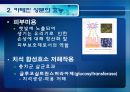 [식품안전] 월빙의 탈을 쓴 식품안전의 실체에 대한 분석 60페이지