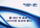 [식품안전] 월빙의 탈을 쓴 식품안전의 실체에 대한 분석 72페이지