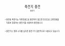 축전지에 대하여 발표 11페이지