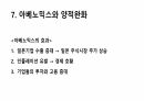 일본 경제의 몰락 13페이지