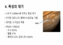 목성에 대해서 6페이지