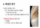 목성에 대해서 8페이지