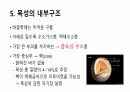 목성에 대해서 9페이지