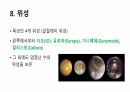 목성에 대해서 13페이지