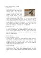 아프가니스탄 난민수용에 대한 찬성, 반대[아프간, 난민,아프가니스탄,난민허용,탈레반] 4페이지