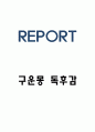 구운몽 독후감 - 줄거리 작품해설 느낀점 1페이지