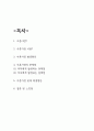 이혼가정 문제점과 해결방안 2페이지