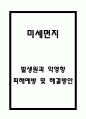 미세먼지 악영향과 피해 예방 및 해결방안 1페이지