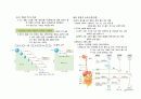 생명과학1 개념 요약 정리 4페이지